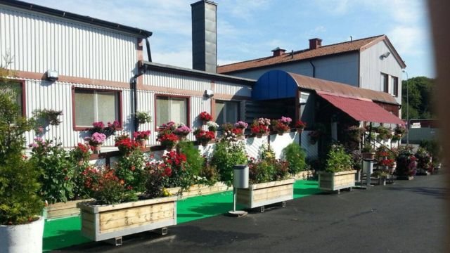 Dhismaha masaajidka dadku Online-ka soo dalbadaan booskii ay kaga tukan lahaayn