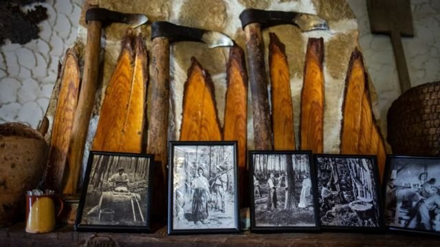 Herramientas y fotografías sobre la extracción de resina.