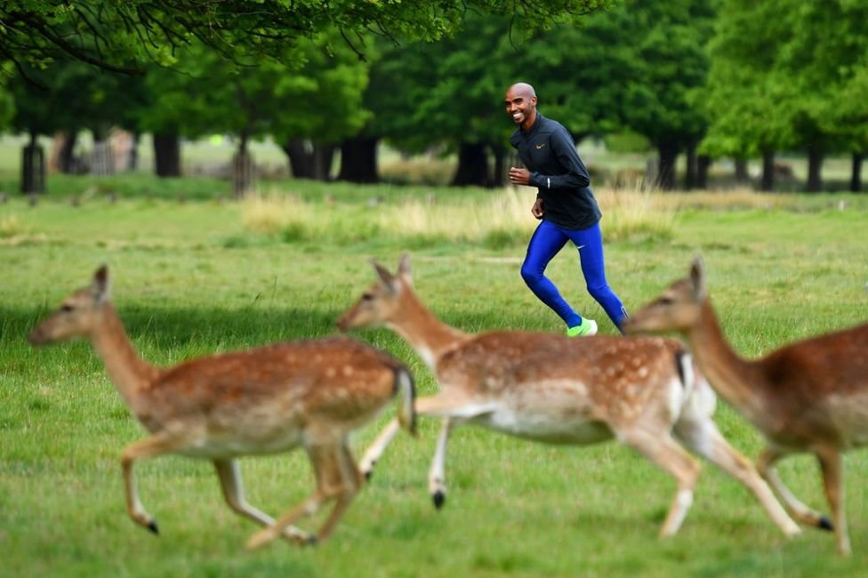 Horyaalka Olympic-da iyo caalamka ee orodka masaafaha dheer Mo Farah oo ku tababaranaya beerta Richmond Park, ee magaalada London.