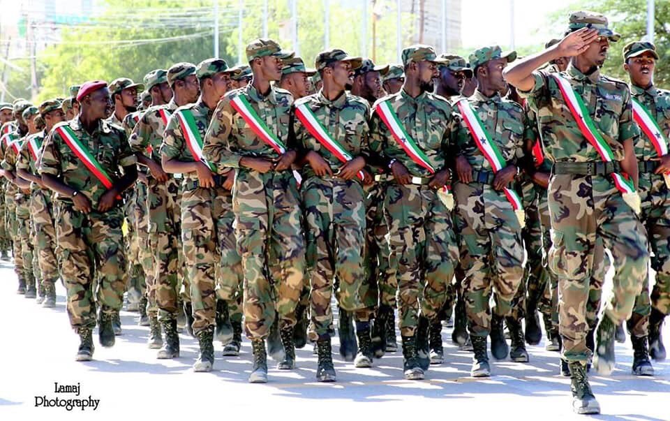 D62KKt9WwAAQCDe.jpg:large