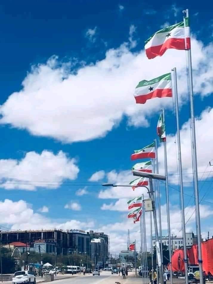 D6z95WEWkAEjSDC.jpg:large