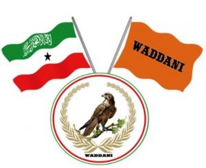 WaddaniCalan-300x245.jpg
