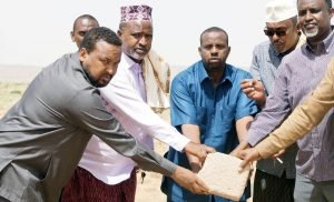 7c673bda-5ccc-4392-ad7b-9682a24da724-300