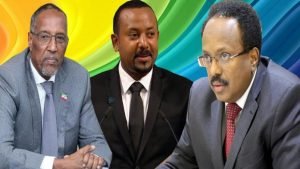MuuseAbi-Farmaajo-300x169.jpg