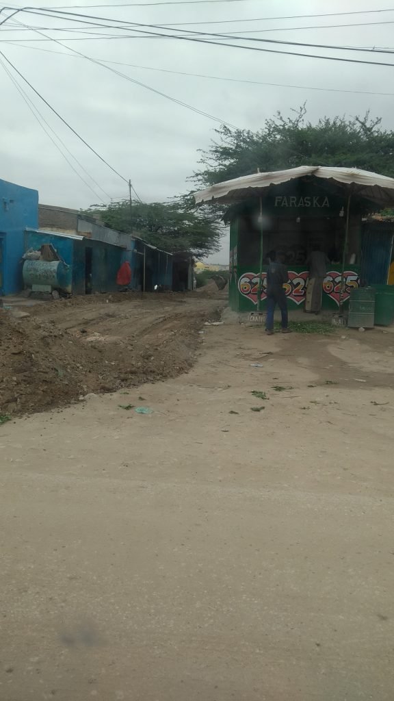 IMG_20210726_100708629_BURST001-576x1024