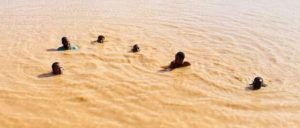 FB_IMG_1680985291555-620x264-1-300x128.j