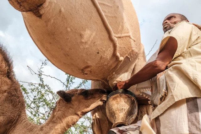 f0b6aa0da22e1de6a358e884d2248bc5.webp.jp