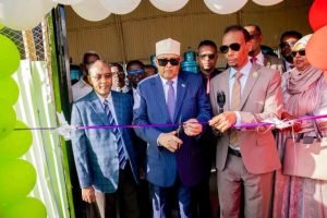 photo_2025-09-07_12-40-43-768x512-1-300x