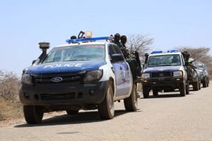 3903a000-d98f-4267-8006-705cd9d1dd16-300