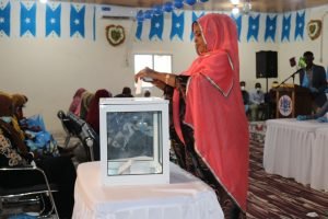 e8139a70-8aa8-44d0-ac42-3d16214f3865-300