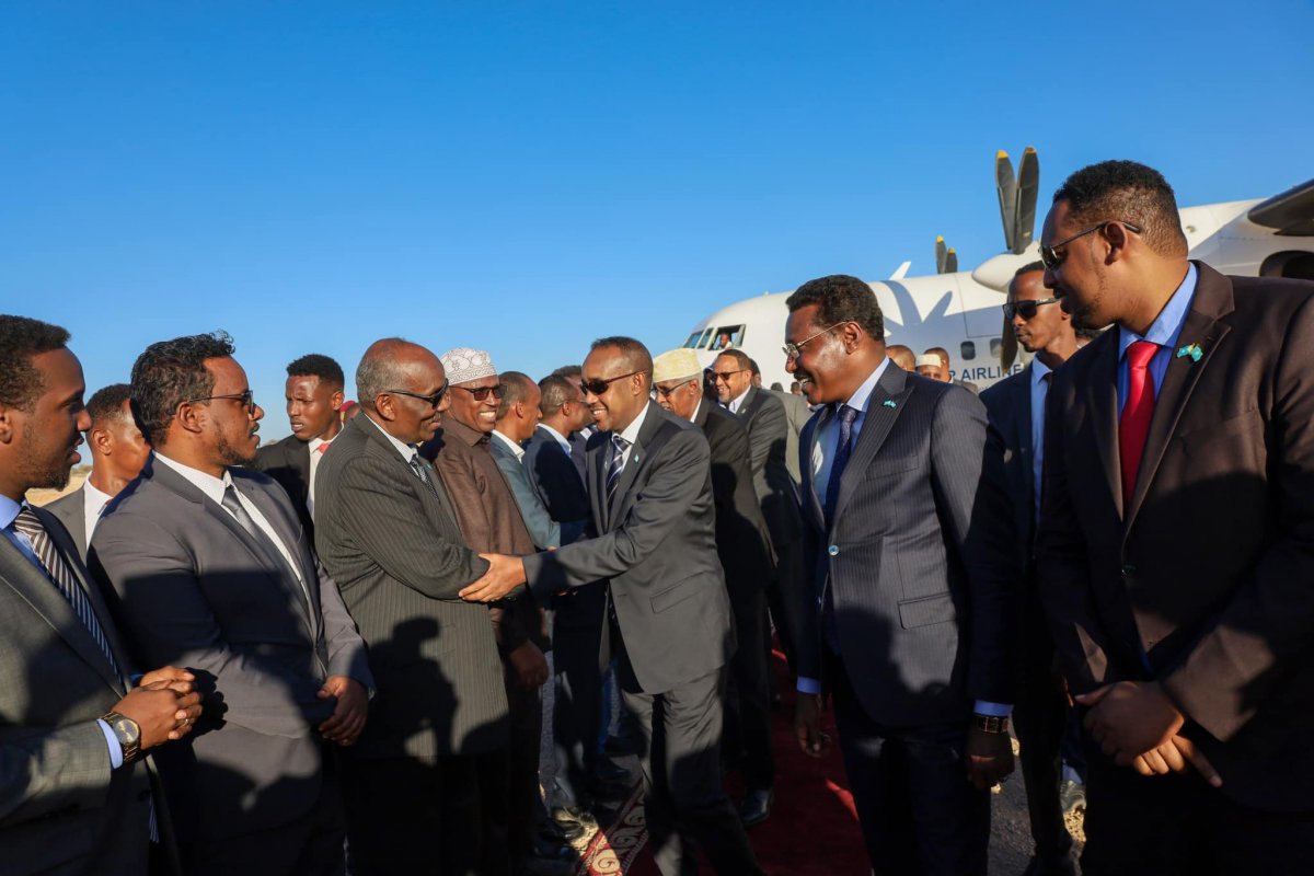 145780074_3942280495832713_5343641252800