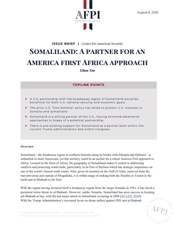 Tan_Somaliland_Issue_Brief_FINAL.jpg
