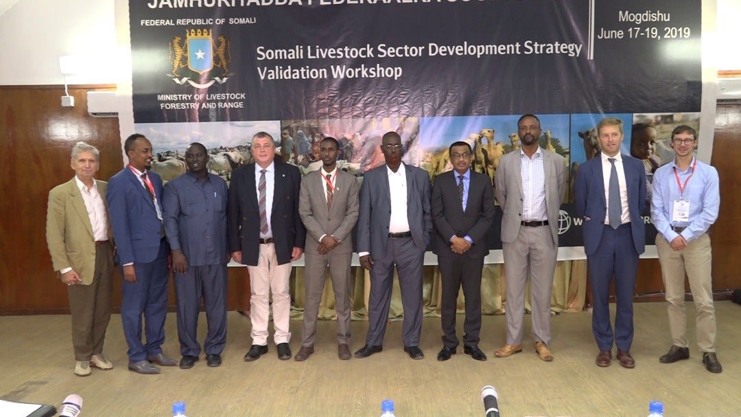 WhatsApp-Image-2019-06-17-at-19.48.41.jp