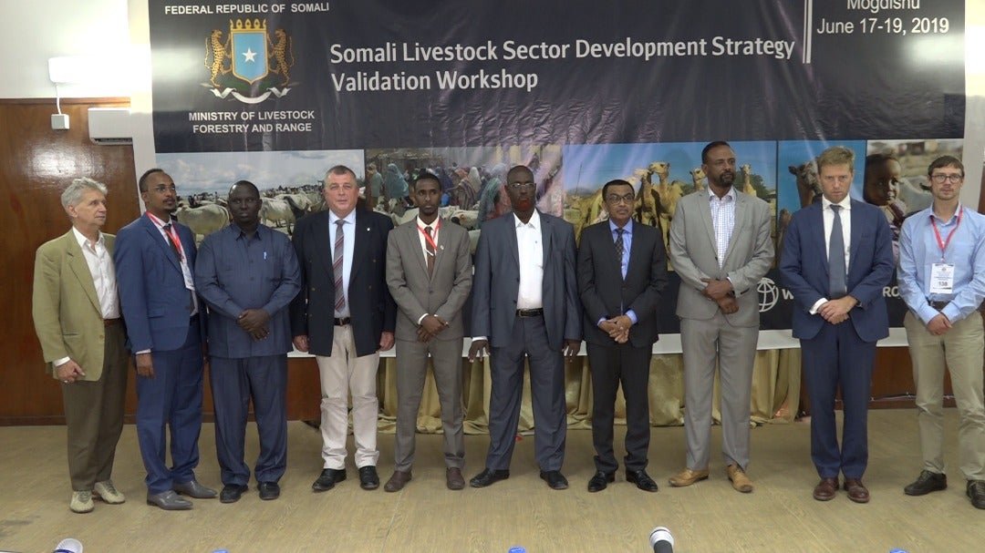 WhatsApp-Image-2019-06-17-at-19.48.48.jp