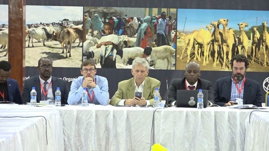 WhatsApp-Image-2019-06-17-at-19.48.51.jp