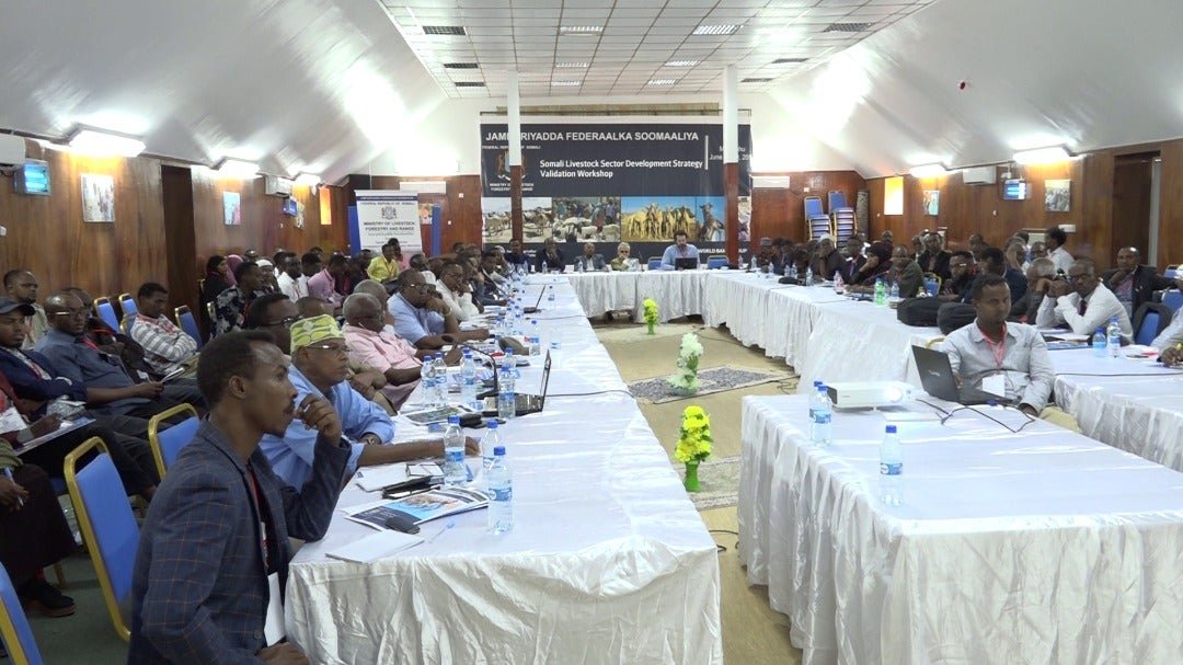 WhatsApp-Image-2019-06-17-at-19.49.19.jp