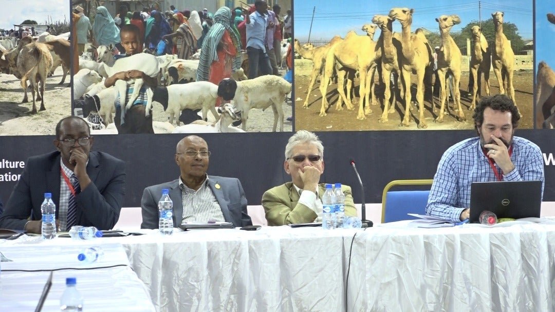 WhatsApp-Image-2019-06-17-at-19.49.26.jp