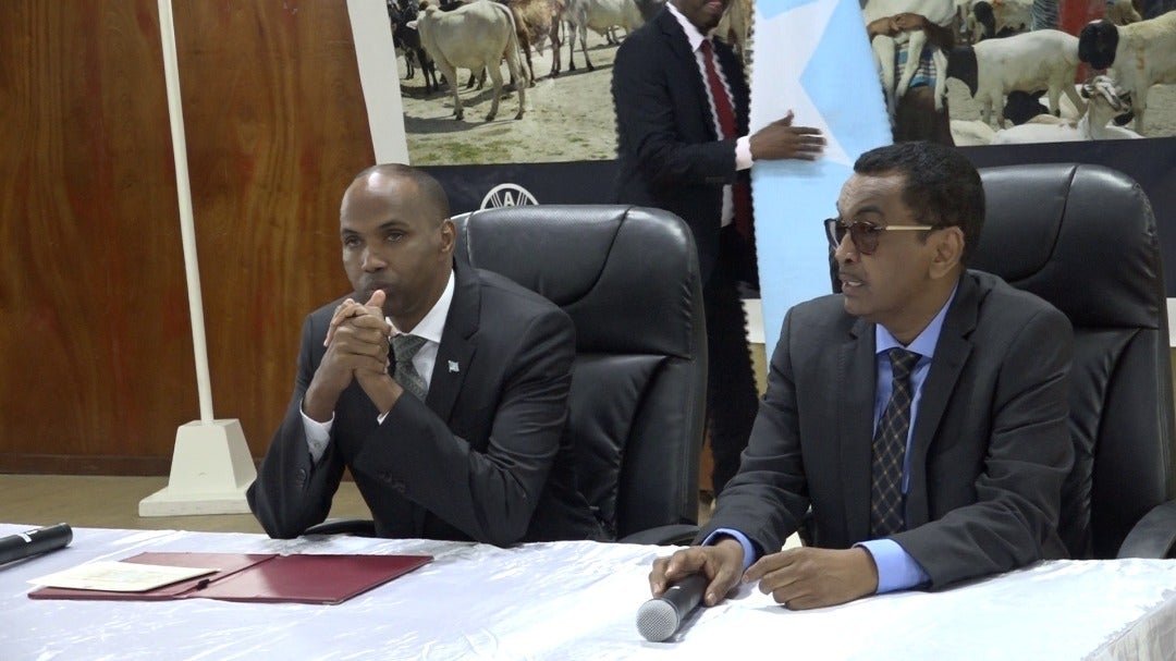 WhatsApp-Image-2019-06-17-at-19.49.57.jp