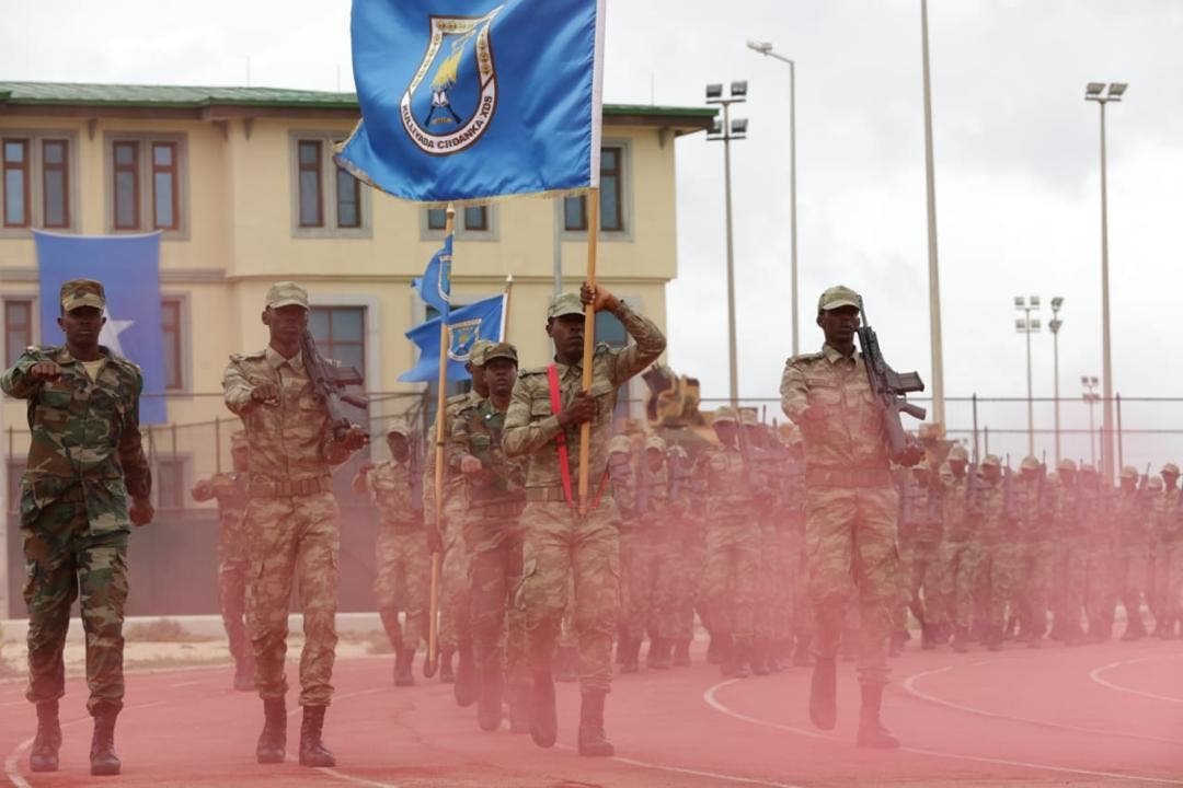 WhatsApp-Image-2019-07-24-at-9.16.32-AM.