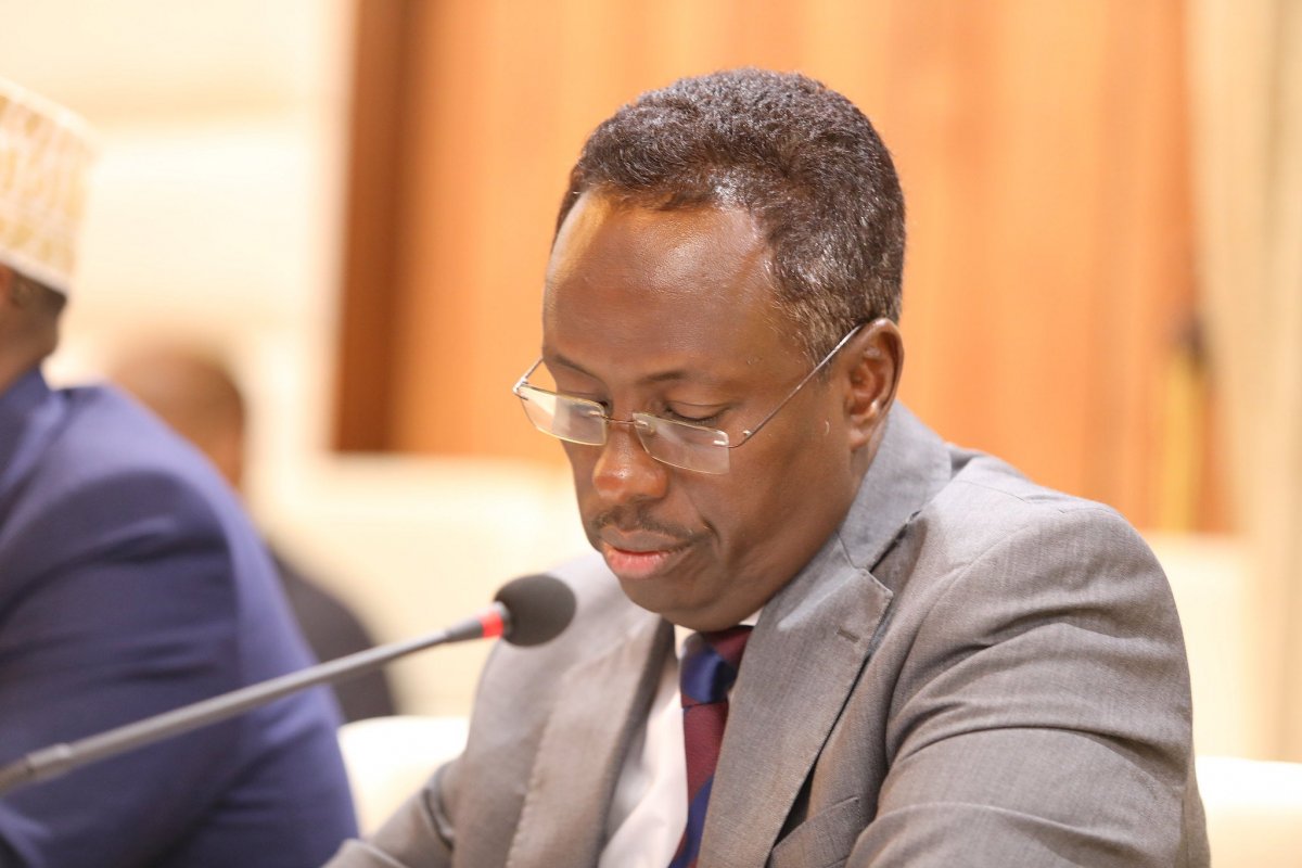 Hadalkii Wasiir Maareeye oo banaanka soo dhigay SIR u qarsaneyd DF Soomaaliya