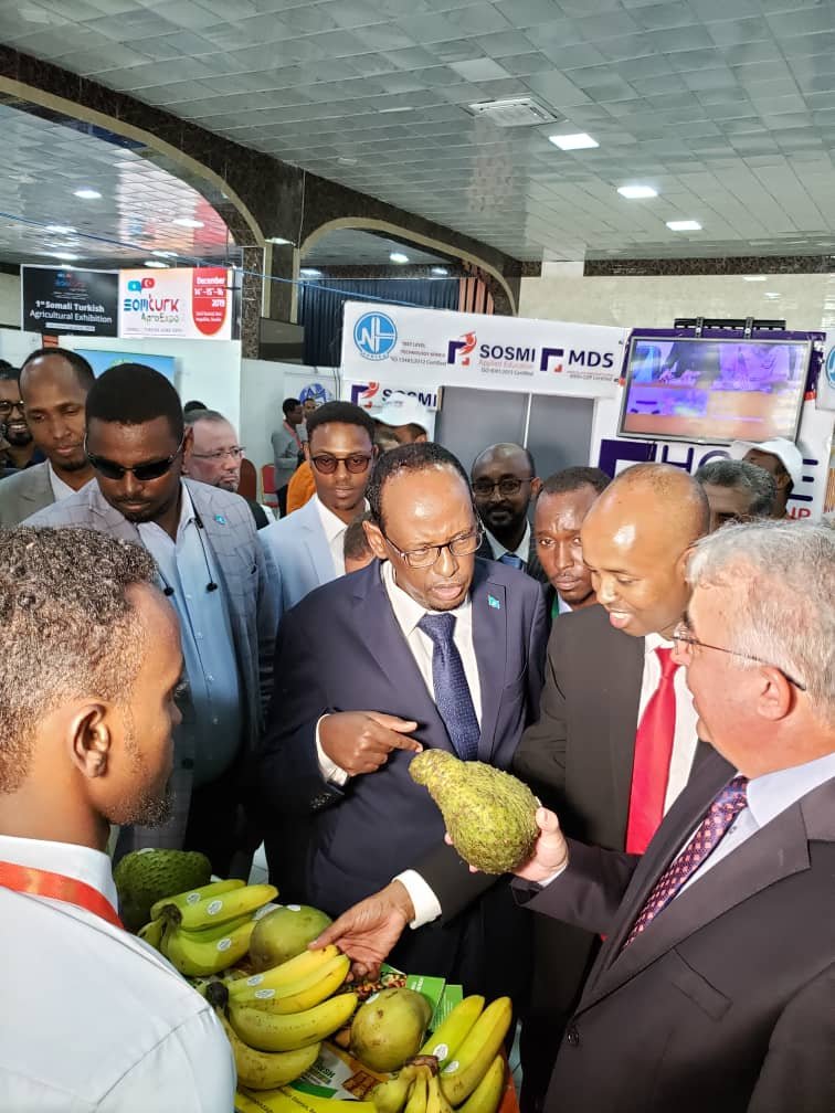 WhatsApp-Image-2019-12-14-at-5.54.46-AM.