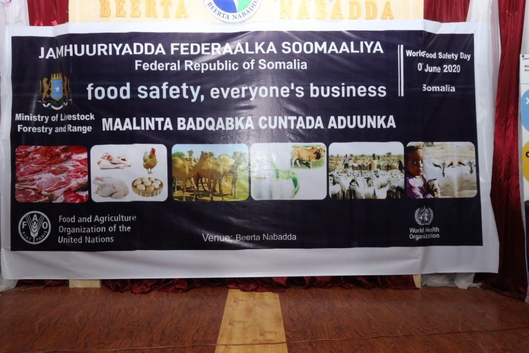 WhatsApp-Image-2020-06-07-at-10.44.28-AM