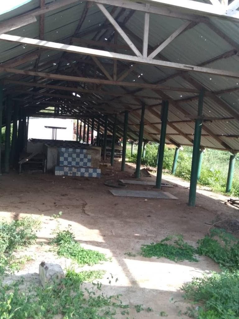 WhatsApp-Image-2021-11-08-at-8.44.10-PM-