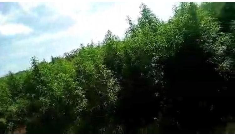 WhatsApp-Image-2021-11-08-at-8.44.11-PM-