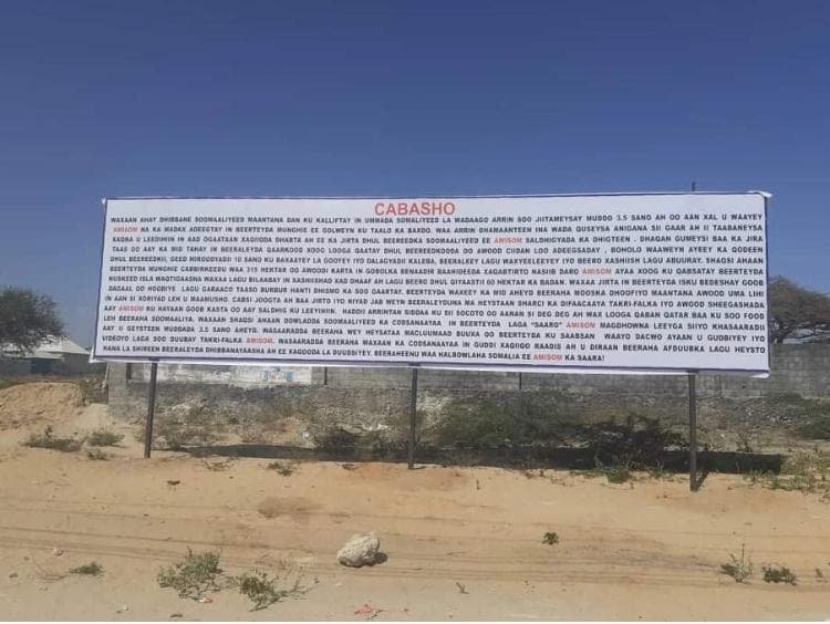 WhatsApp-Image-2021-11-08-at-8.44.11-PM.