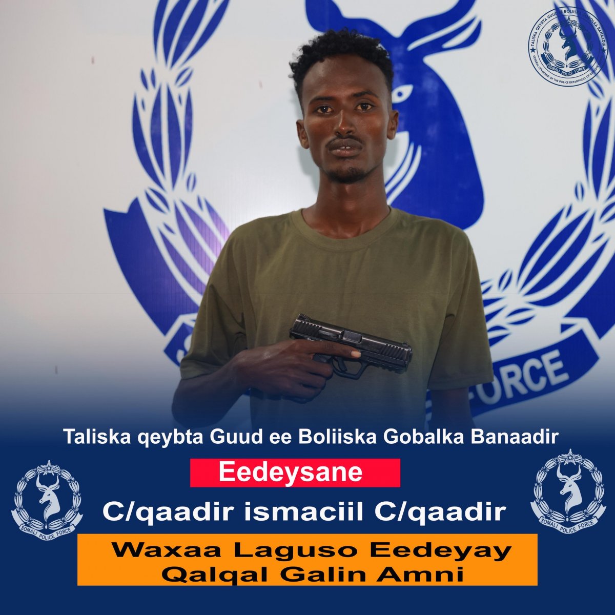 3f01fc6a-270a-4fbb-bc0d-c07db7f502b7.jpe