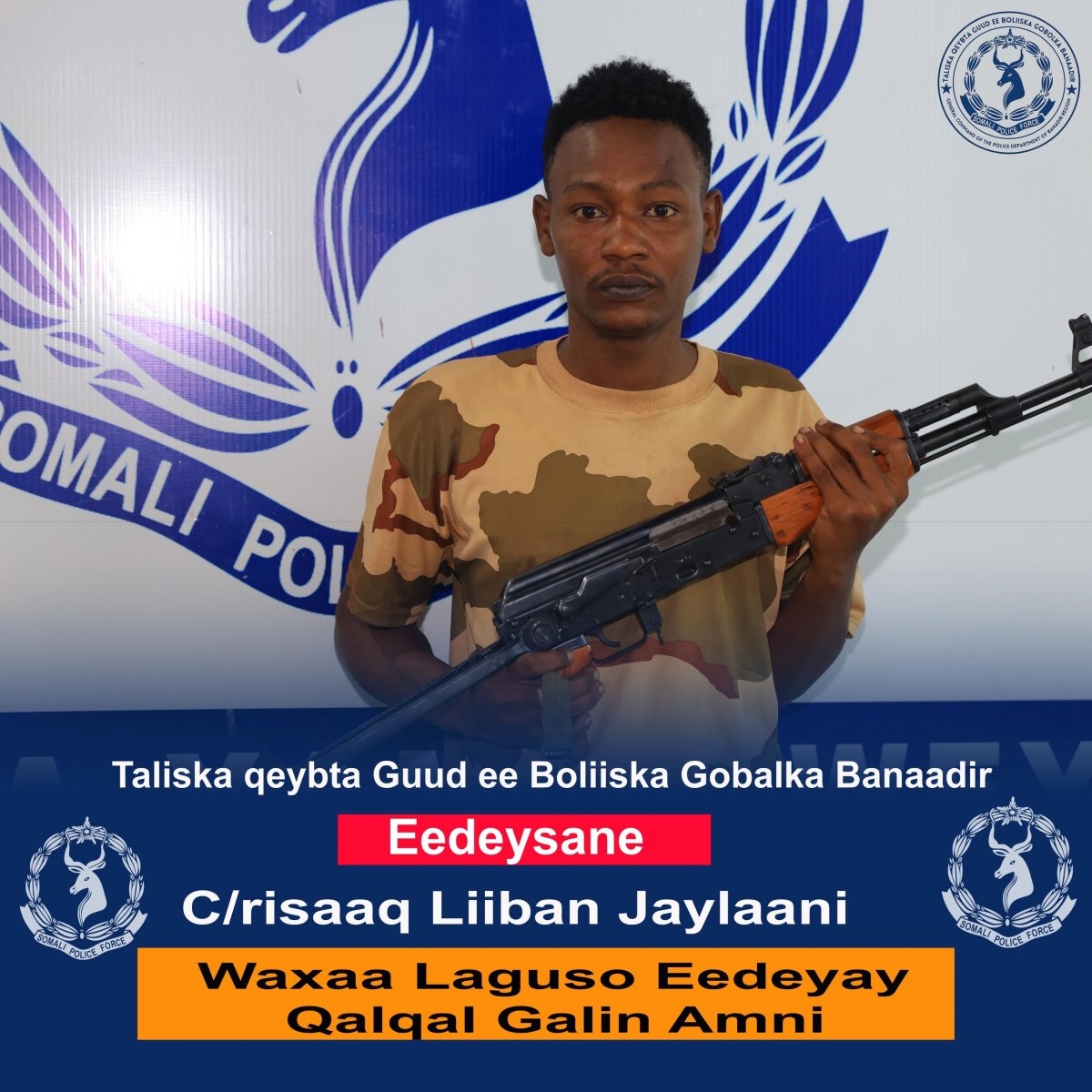 463067bd-cdd2-44a9-a64a-6244f90b954a.jpe