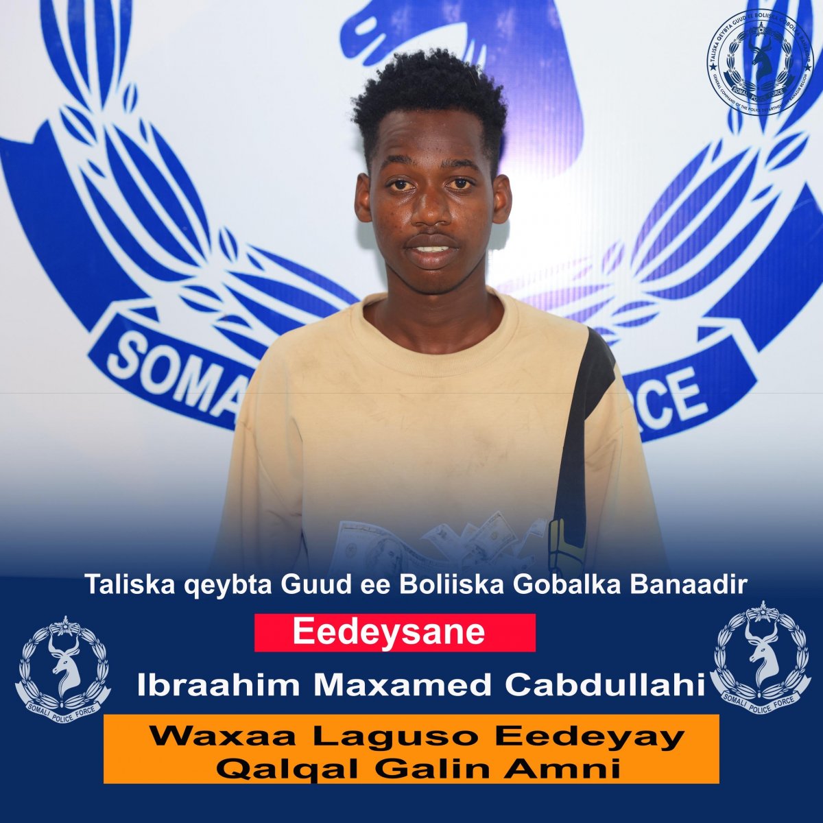 8ef57be0-43b3-4eaf-8d1c-c76ef5dd94c0.jpe