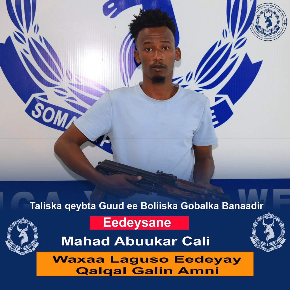 beedb342-6746-4d6d-95eb-c08a3fc84bfe.jpe