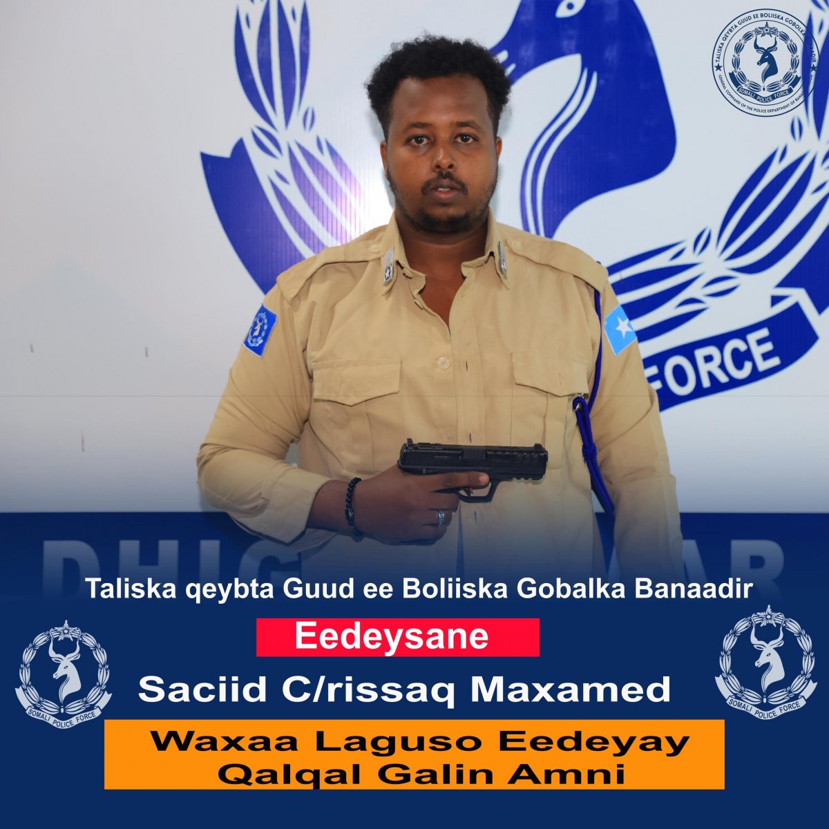 bf75b6b9-2c9f-46e0-807a-66a2447d06a6.jpe