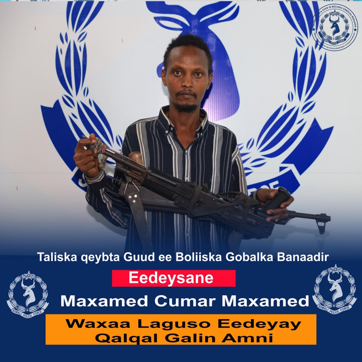 d18616b5-f651-4052-9965-8a259af35aab.jpe