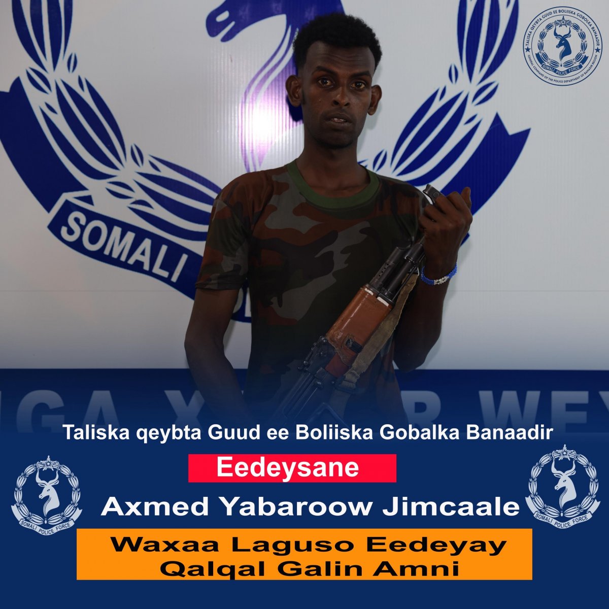 d3df9ff5-ca19-41a8-b3cb-4db8e0b68c5d.jpe