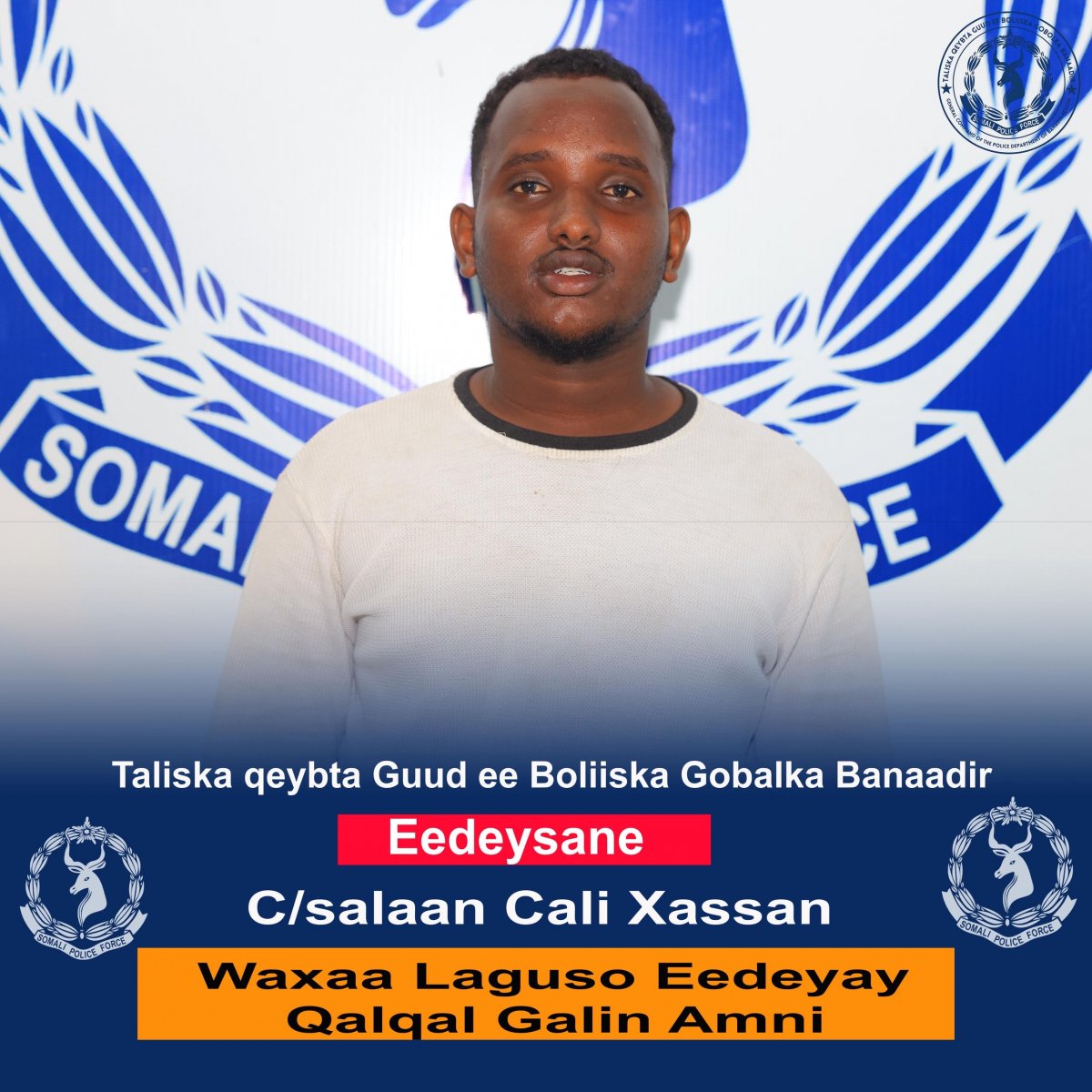 d6ee7f85-2271-46b4-85f1-f4eab6b5a58c.jpe