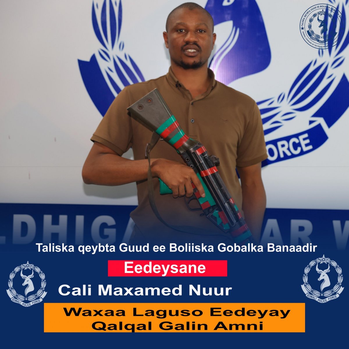 e5ed72f9-a49f-4bf2-8dc7-a94c6299abc1.jpe