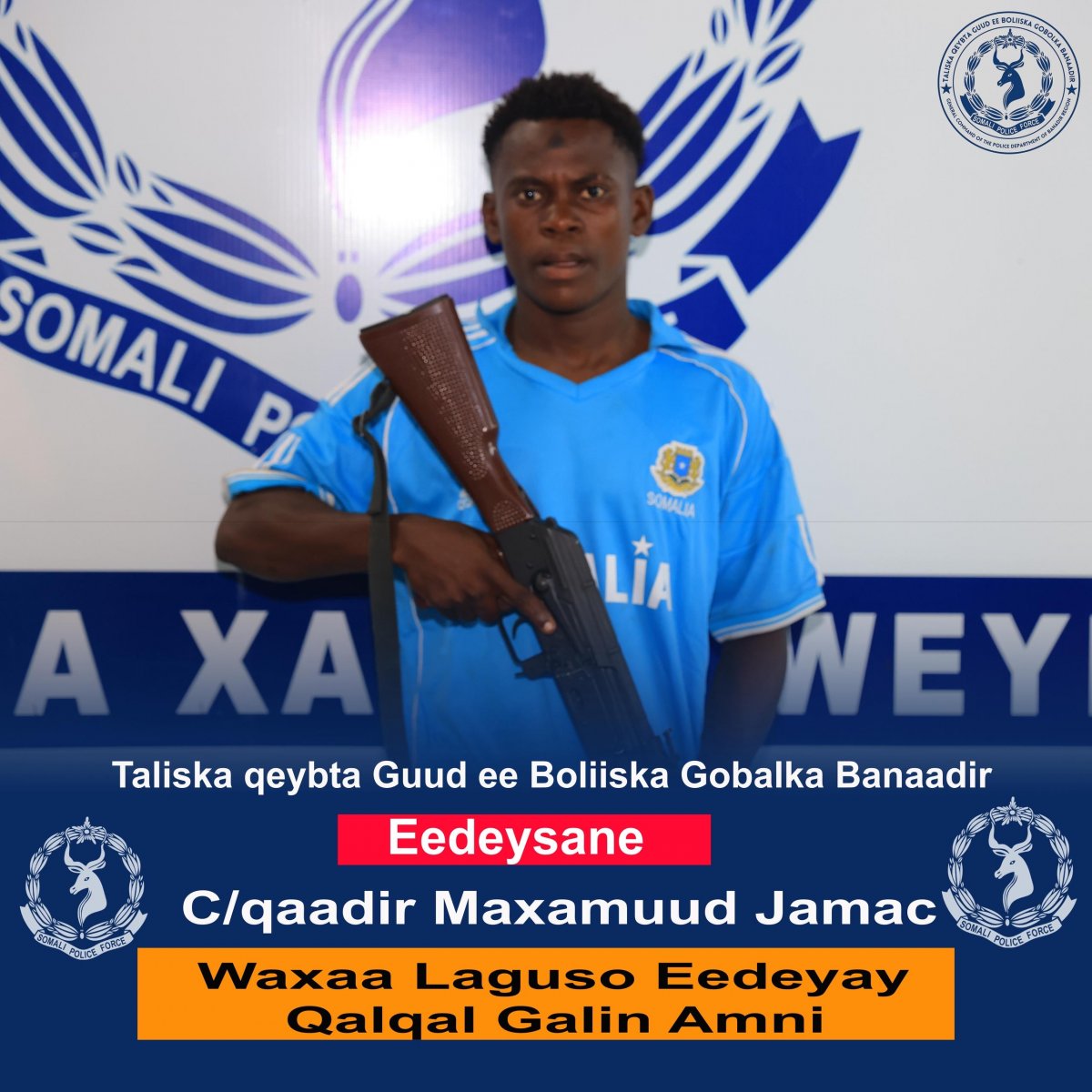 e6ae1515-41dd-4072-9697-faa3b47cf7d4.jpe