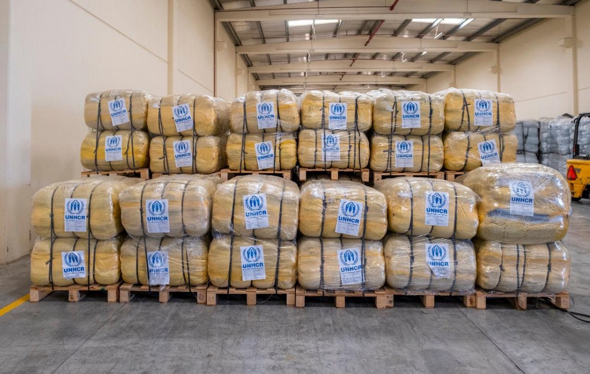 2737825409683544877 (1)