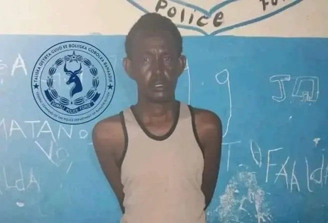 IMG_1563.jpeg?fit=656%2C447&ssl=1