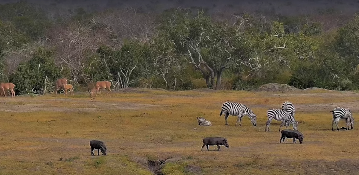 Screenshot 2025-02-08 181258.png